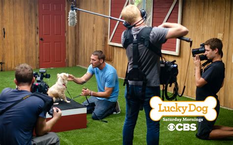Lucky Dog I Emmy Winning Series on CBS | Brandon McMillan's Canine Minded
