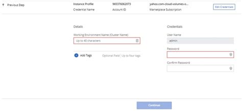 A Step-by-Step Guide to Setting Up Cloud Volumes ONTAP on AWS | NetApp