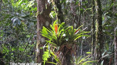 PORTAL DA RESERVA TRAIL (2025) All You Need to Know BEFORE You Go (with ...