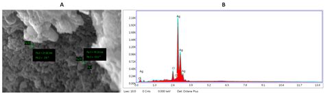 Biofabrication of Silver Nanoparticles by Azadirachta indica ...