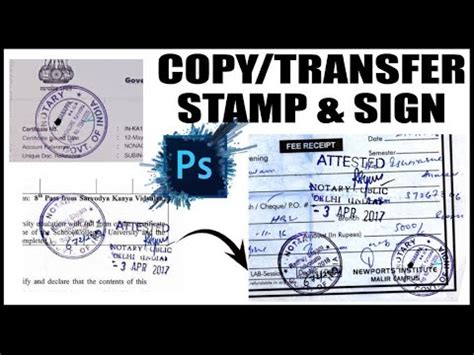 Image result for How to Copy Paste Stamp in Documents