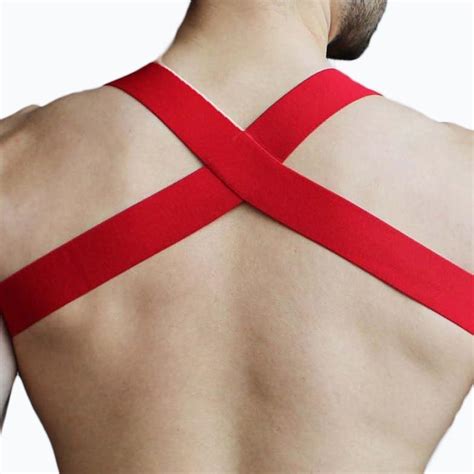 Image result for Tutorial Chest Harness