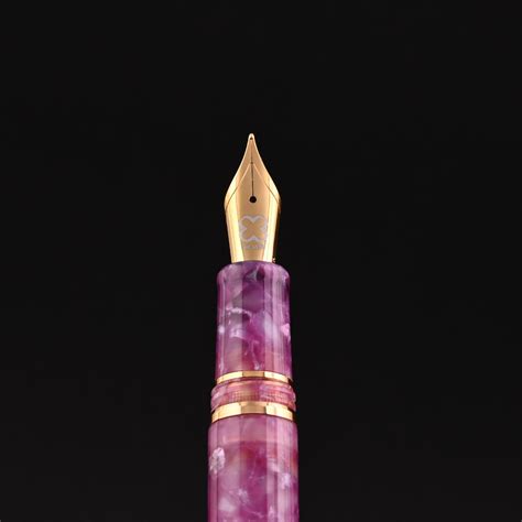 Esterbrook Estie Regular Fountain Pen - Punch GT (Limited Edition) – Makoba