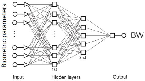 Neural Network-Based Body Weight Prediction in Pelibuey Sheep through ...