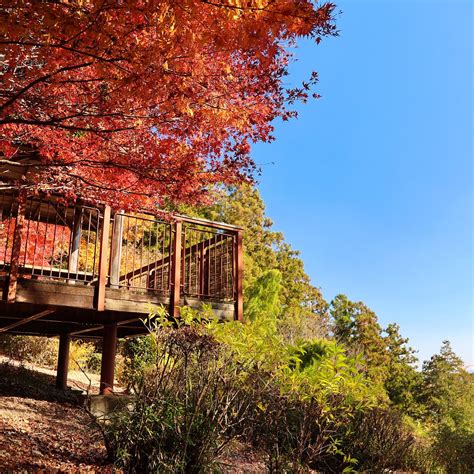 NISHIKATA FUREAI PARK (2026) All You Need to Know BEFORE You Go (with ...