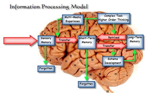 Process Information 的图像结果