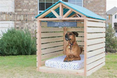 Dog House Ideas for the Special Pup in Your Life