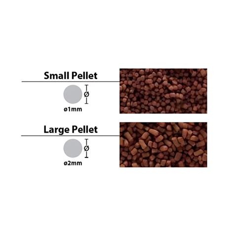 Food Ocean Free DS-G1 Pro Discuss Food 120gm – cloningaquapets