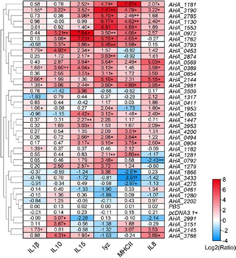 Image result for Intraperitoneal Injection in Fish
