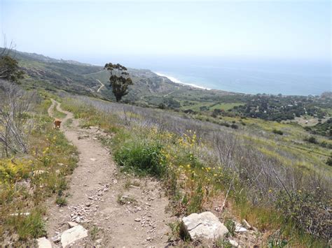 1000 Hikes in 1000 Days: Day 857: Portuguese Bend Reserve - Palos ...