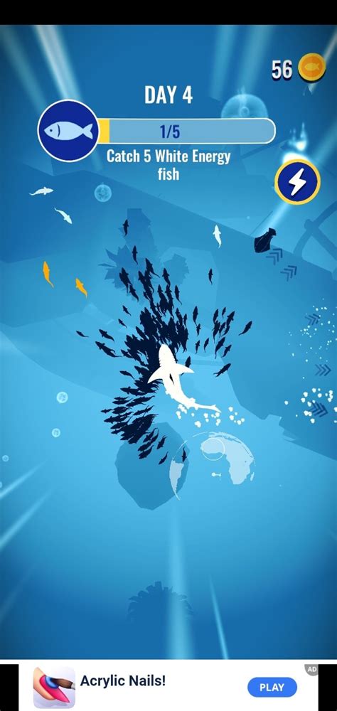 Shoal of Fish APK Download for Android Free