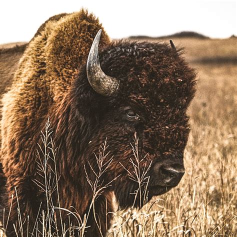 The Webster Way - Webster Electric