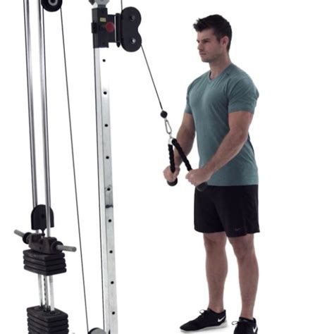 Image result for Tricep Machine Exercises