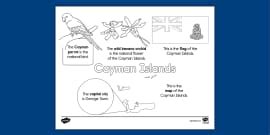 U.S. Virgin Islands Facts Coloring Sheet