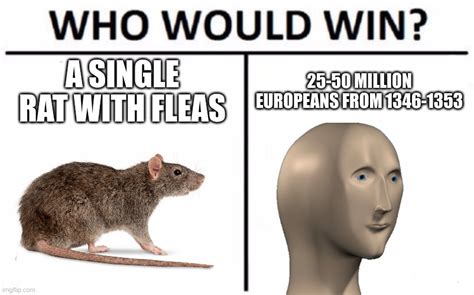 Who Would Win? Meme - Imgflip