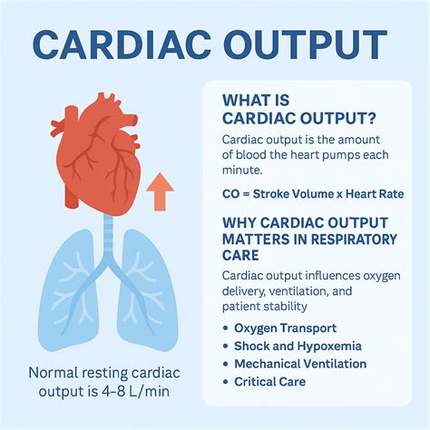 Animation Cardiac Output 的图像结果