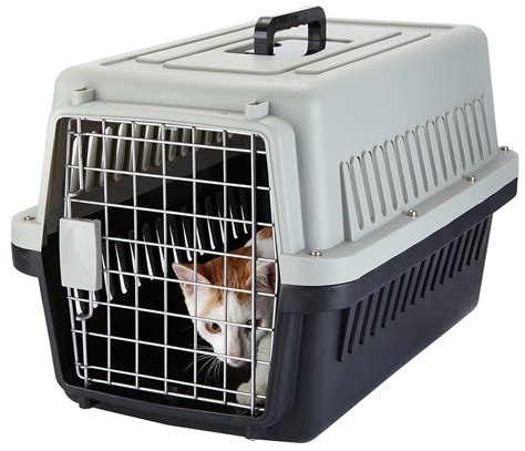 Best 10 Airline Approved Pet Carriers and Crates for 2022 - Animalso