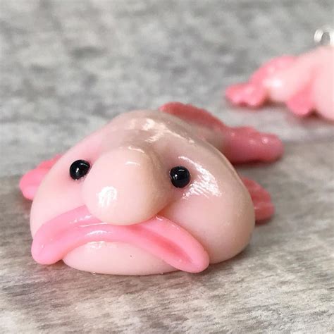 Laura ~ Australia on Instagram: “Blobfish update! Friday at 7am AEST ...