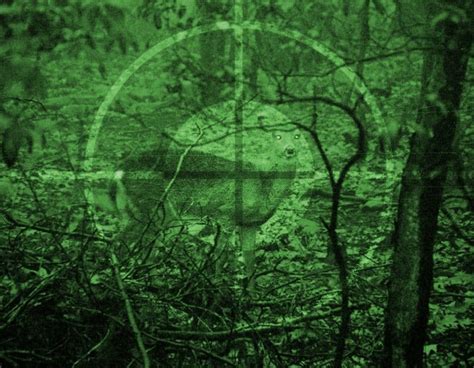 Image result for Cheap Night Vision