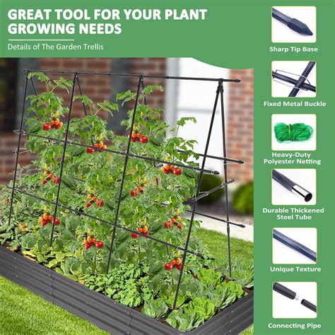 Snapklik.com : Garden Trellis For Climbing Plants Outdoor, Deaunbr ...