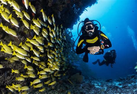 Netrani Island Scuba Diving, Murudeshwar - Book Now @ Rs.1999 (43% off)