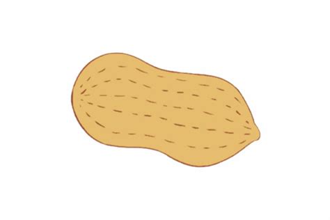 花生壳使用教程图解花生壳打碎直接拌土2022已更新今日推荐