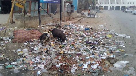 Petition · Change the Garbage Contractors for Bellandur - India ...