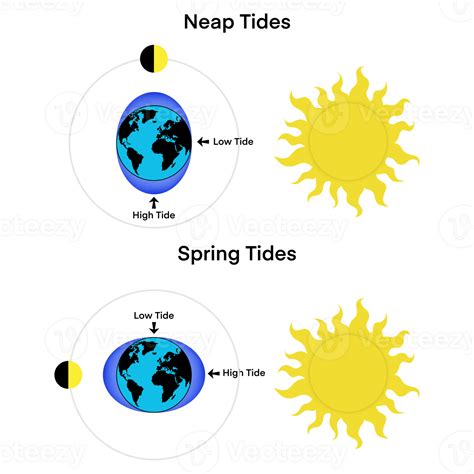 Tides, Moon, Sun and Earth, How sea tides are caused by the ...