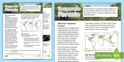 KS2 All About Temperate Forest Fact File - Primary Resources