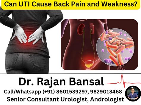 Kidney Infection Symptoms Back Pain