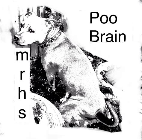 Image result for Poop Brain