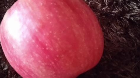 Image result for Jojo Blox Script GUI