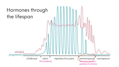 Understanding Your Menstrual Cycle in Perimenopause - Francesca Liparoti