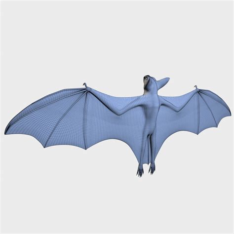 Image result for Giant Bat Java