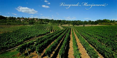 Citluk Tourism (2023): Best of Citluk, Bosnia and Herzegovina - Tripadvisor