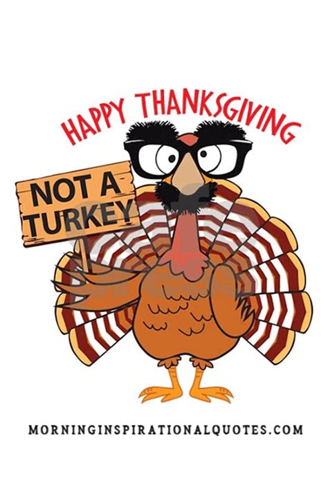 Funny Thanksgiving Gifs Images Pictures For Facebook