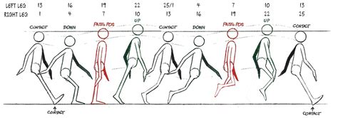 Animation Walk Cycle Reference 的图像结果