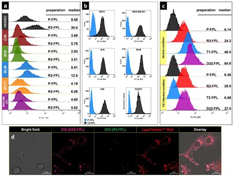 Increased Targeting Area in Tumors by Dual-Ligand Modification of ...