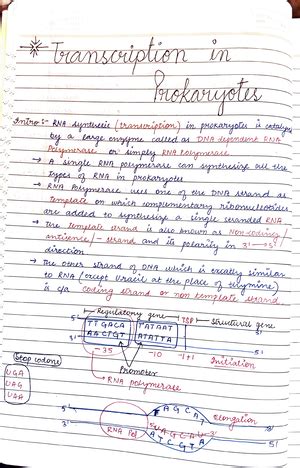 Neural Networks (Notes) - SCHOOL OF ELECTRICAL AND ELECTRONICS ...
