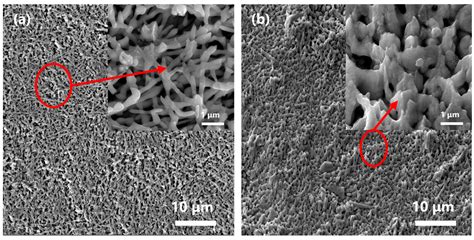 Study on the Preparation and Performance of Low-Temperature Sintering ...