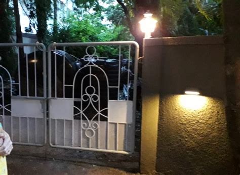 BENE Garden Light Reed (Steel 21Cm 2Pc) : Amazon.in: Home & Kitchen