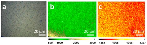 Silver Eco-Solvent Ink for Reactive Printing of Polychromatic SERS and ...