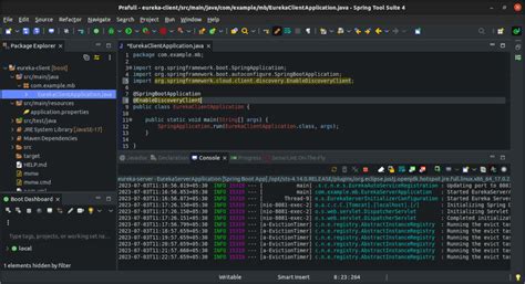 Image result for Eureka Spring Boot