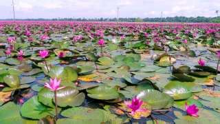 Malarickal - the magical place shaded in Pink | Backwater and Village ...