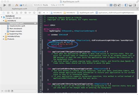 How to Install Swift Files in iOS 的图像结果
