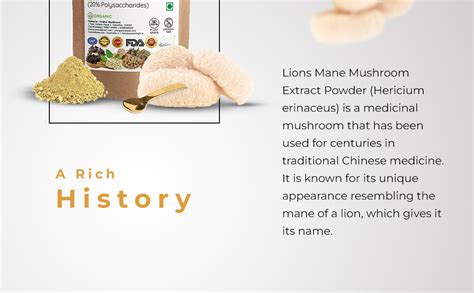 Buy PH Lion's Mane Mushroom Extract Powder 50g with 20% Polysaccharides ...
