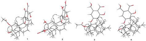 Meroterpenoids and Isocoumarinoids from a Myrothecium Fungus Associated ...