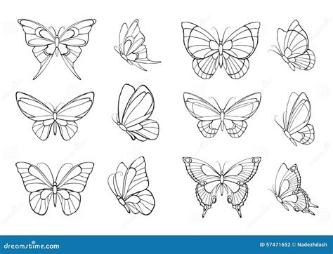 Set of Hand Drawn Butterflies Stock Vector - Illustration of collection ...