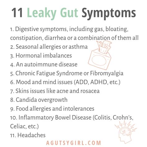 Symptoms of yeast overgrowth in intestines - merybeach