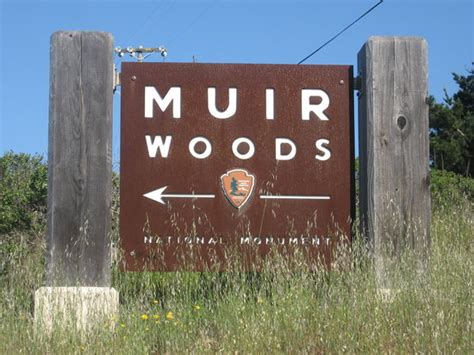 Tom's Muir Woods Walking Tours (Mill Valley) - 2022 What to Know Before ...